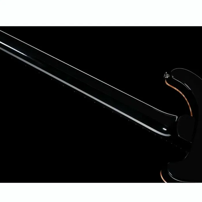 PRS Custom 24 Floyd 10 Top PT – photo 12