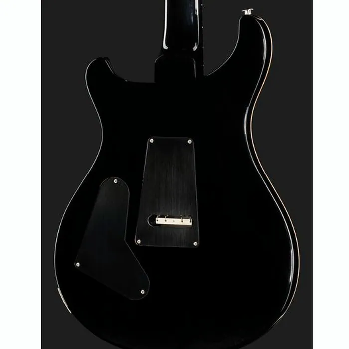 PRS Custom 24 Floyd 10 Top PT – photo 7