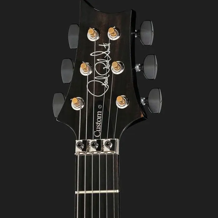 PRS Custom 24 Floyd 10 Top PT – photo 8