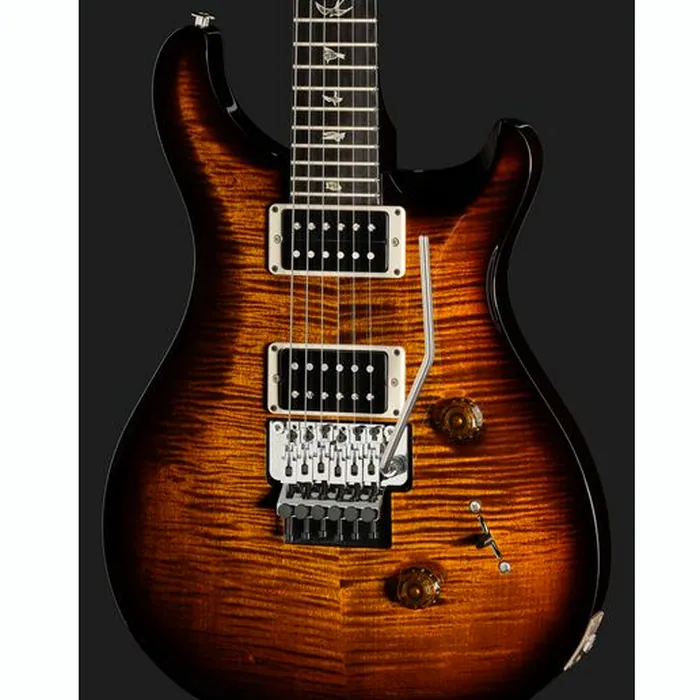 PRS Custom 24 Floyd BGWB – photo 6