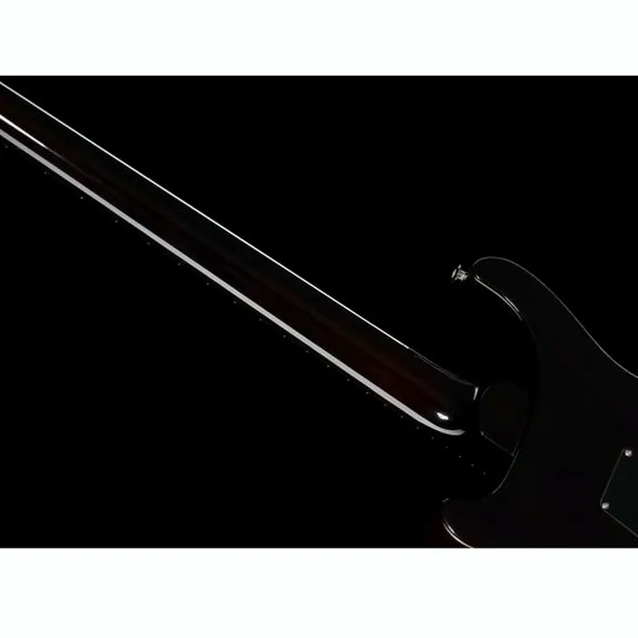 PRS Custom 24 Floyd BGWB – photo 12