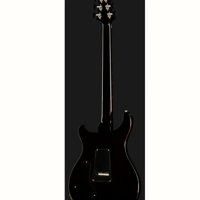 PRS Custom 24 Floyd BGWB – photo 5
