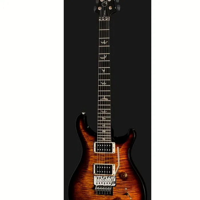 PRS Custom 24 Floyd BGWB – photo 4