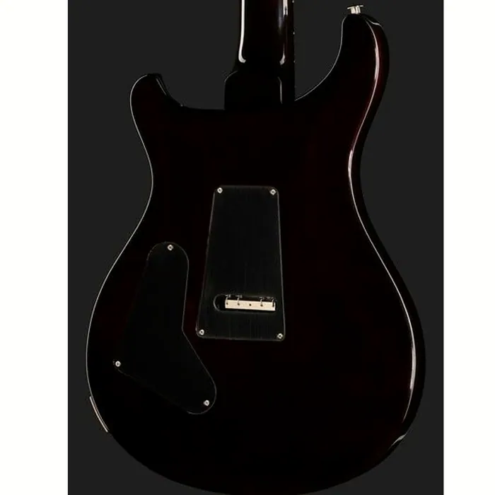 PRS Custom 24 Floyd BGWB – photo 7