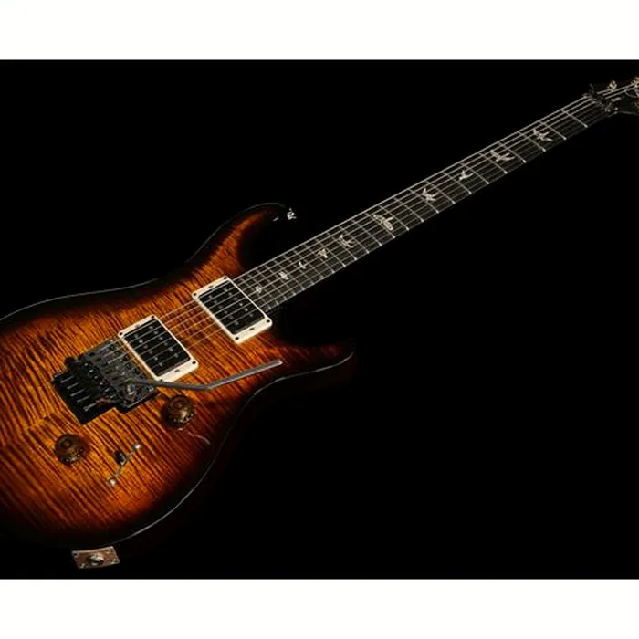 PRS Custom 24 Floyd BGWB – photo 10