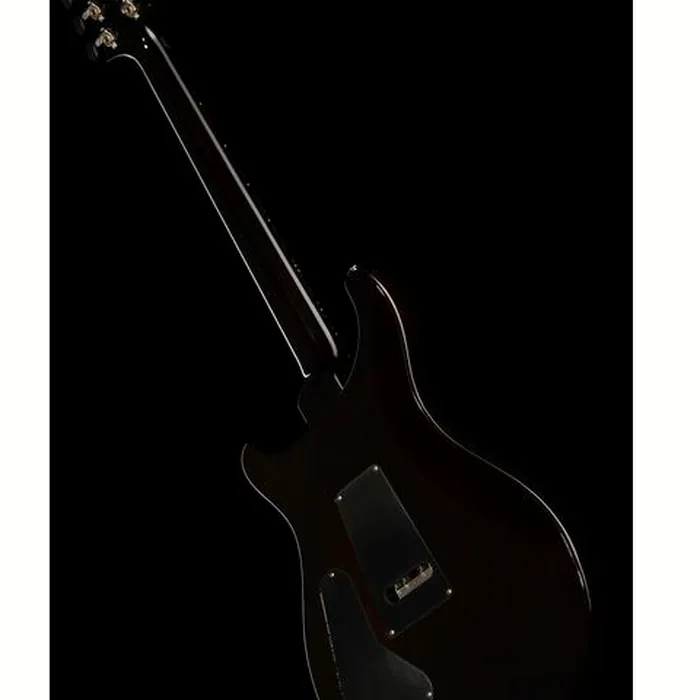PRS Custom 24 Floyd BGWB – photo 11