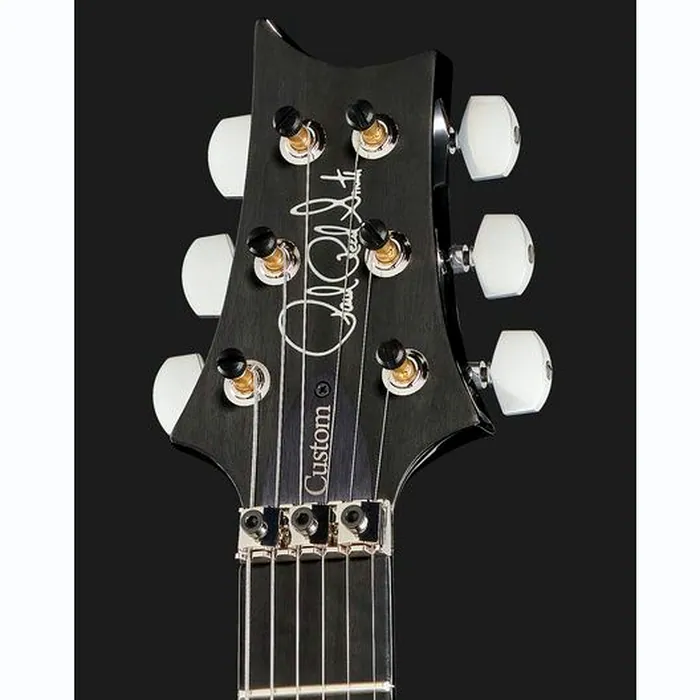PRS Custom 24 Floyd CB – photo 8