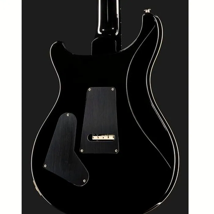 PRS Custom 24 Floyd CB 10 Top – photo 7