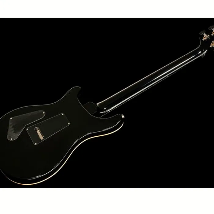 PRS Custom 24 Floyd CB 10 Top – photo 10