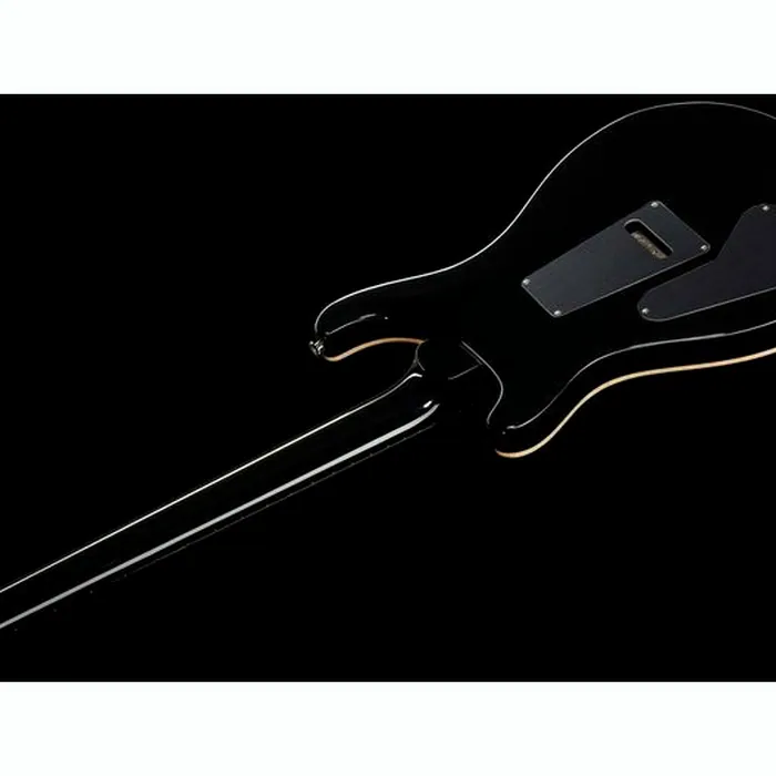 PRS Custom 24 Floyd CB – photo 10