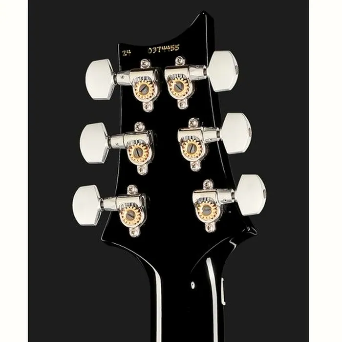 PRS Custom 24 Floyd CB – photo 9