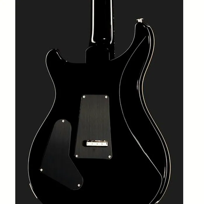 PRS Custom 24 Floyd CB – photo 7