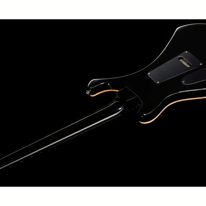 PRS Custom 24 Floyd FW – photo 10