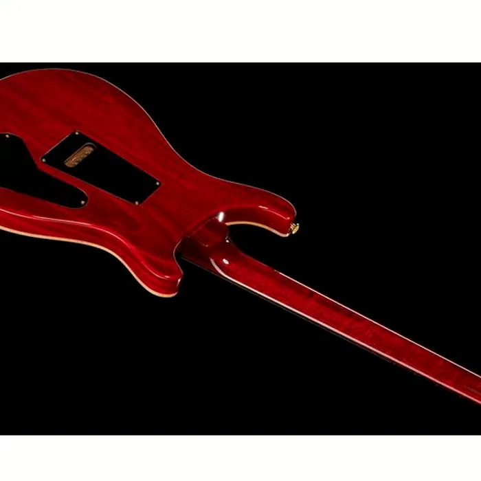 PRS Custom 24 LH Wood Library CY – photo 10