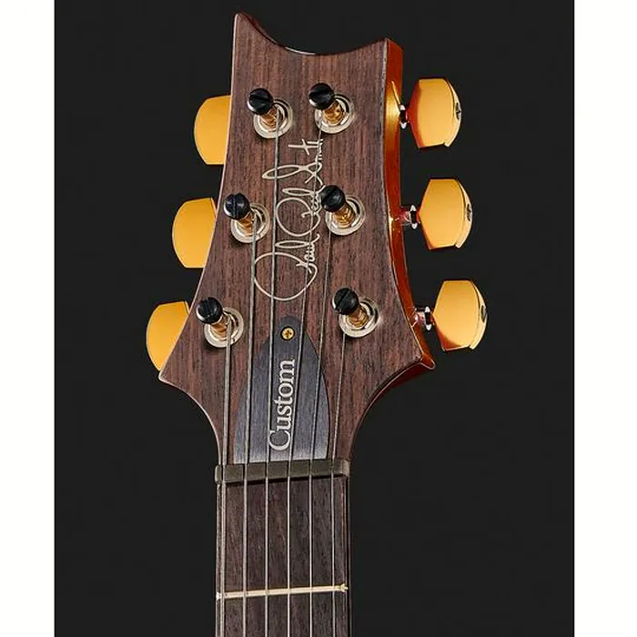 PRS Custom 24 MS 10 Top – photo 8