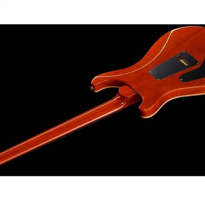 PRS Custom 24 MS 10 Top – photo 10