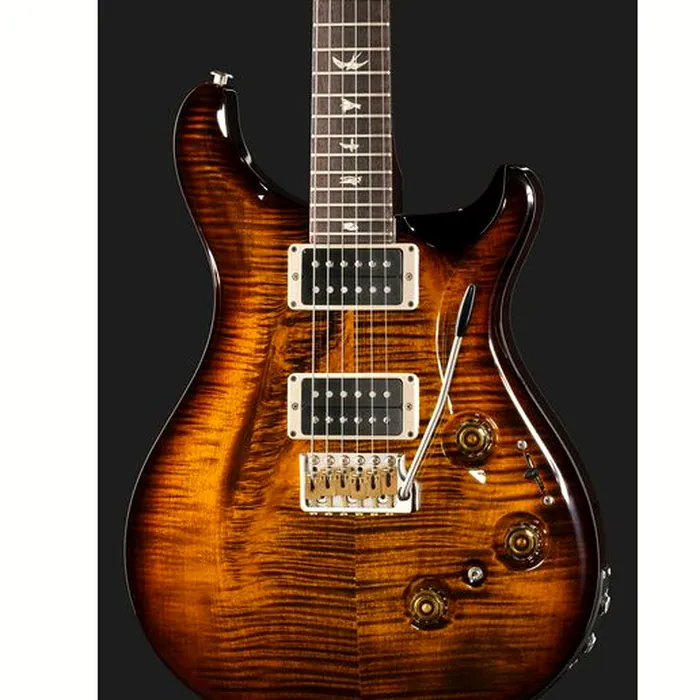 PRS Custom 24 Piezo BG Burst – photo 6