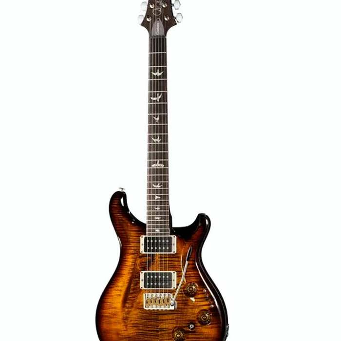 PRS Custom 24 Piezo BG Burst – photo 2