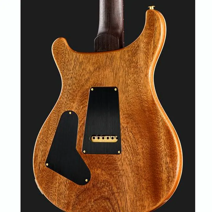 PRS Custom 24 Wood Library CH – photo 7