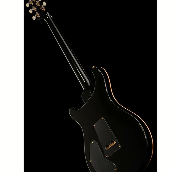 PRS DGT Birds 10 Top FB – photo 11