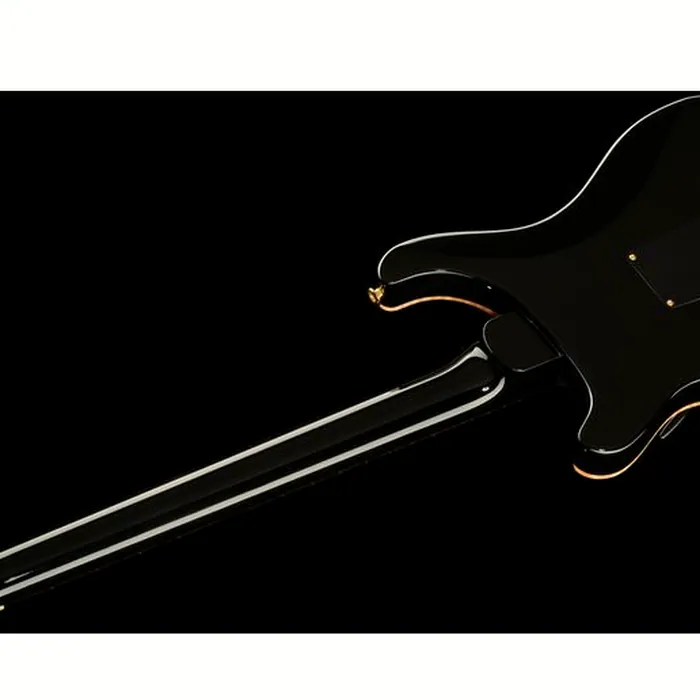 PRS DGT Birds 10 Top FB – photo 12