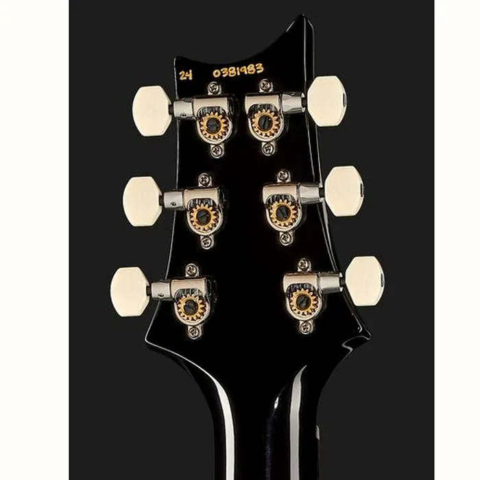 PRS DGT Birds Black Gold Burst '24 – photo 9