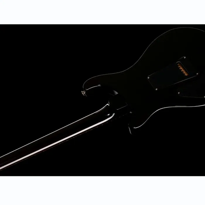 PRS DGT Birds Black Gold Burst '24 – photo 10