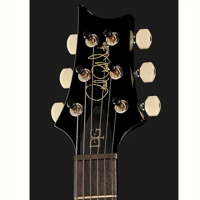 PRS DGT Birds Black Gold Burst '24 – photo 8