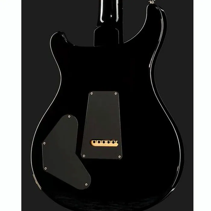 PRS DGT Birds Black Gold Burst '24 – photo 7