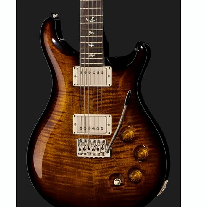 PRS DGT Birds Black Gold Burst '24 – photo 6