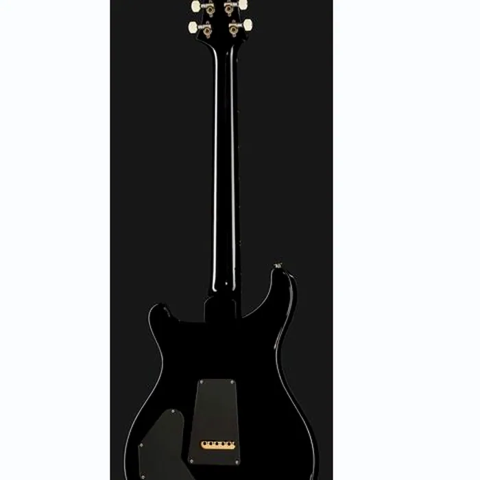 PRS DGT Birds Black Gold Burst '24 – photo 5