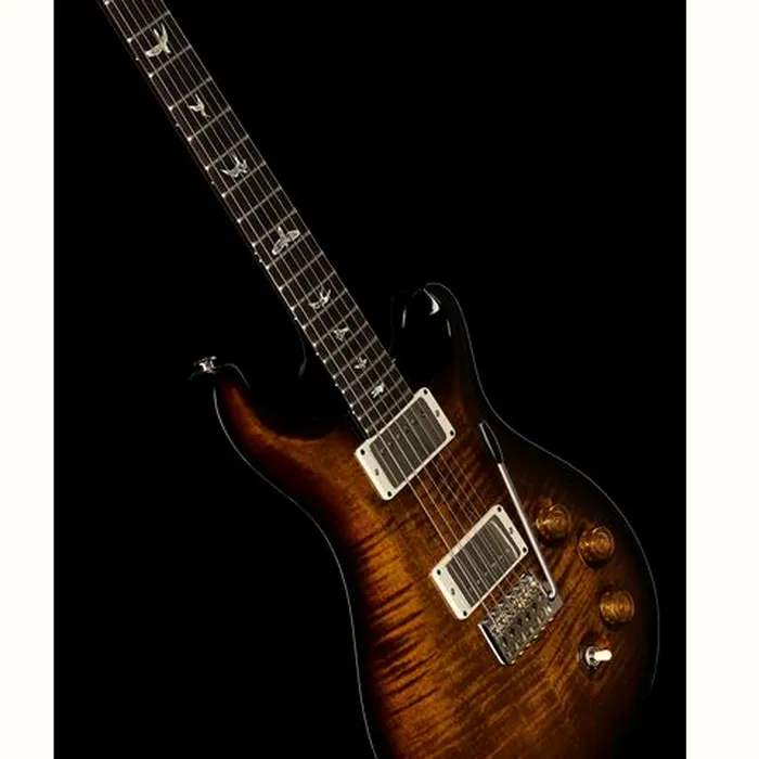 PRS DGT Birds Black Gold Burst '24 – photo 12
