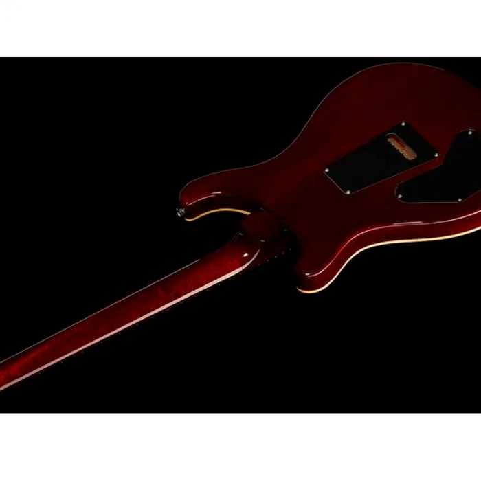 PRS DGT Birds DS – photo 10