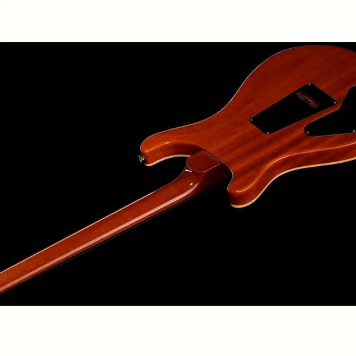 PRS DGT Birds MS – photo 10