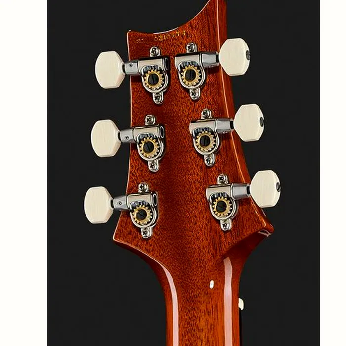 PRS DGT Birds MS – photo 9