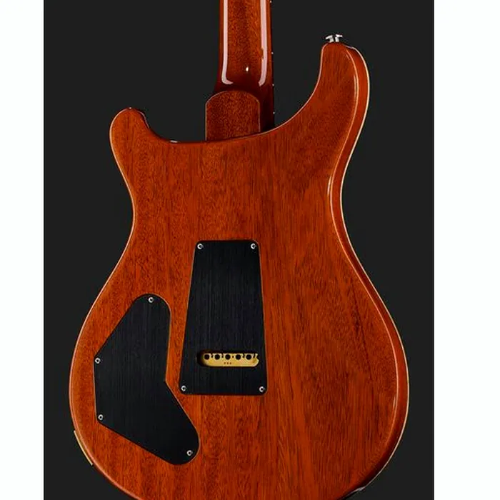 PRS DGT Birds MS – photo 7
