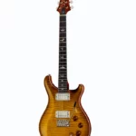 PRS DGT Birds MS (Guitare électrique) Test, Avis