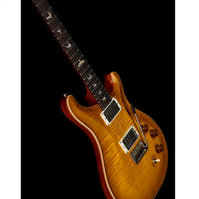 PRS DGT Birds MS – photo 12