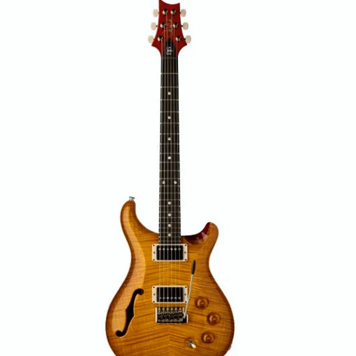 PRS DGT Semi-Hollow LTD – photo 2