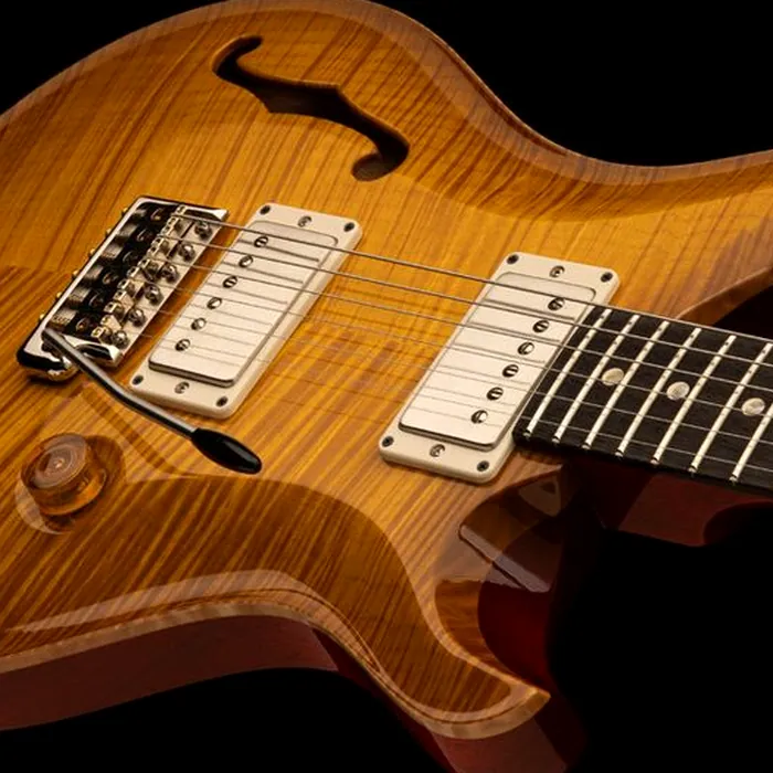 PRS DGT Semi-Hollow LTD – photo 5