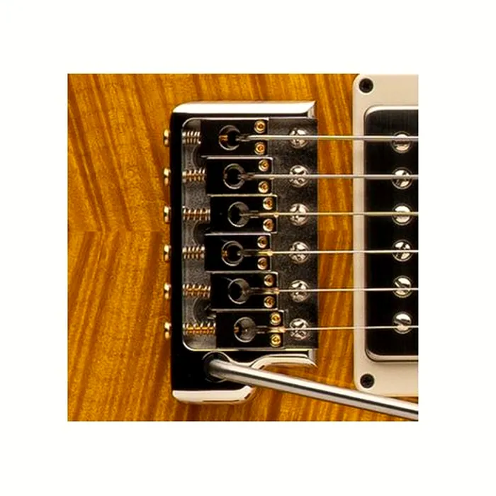 PRS DGT Semi-Hollow LTD – photo 7