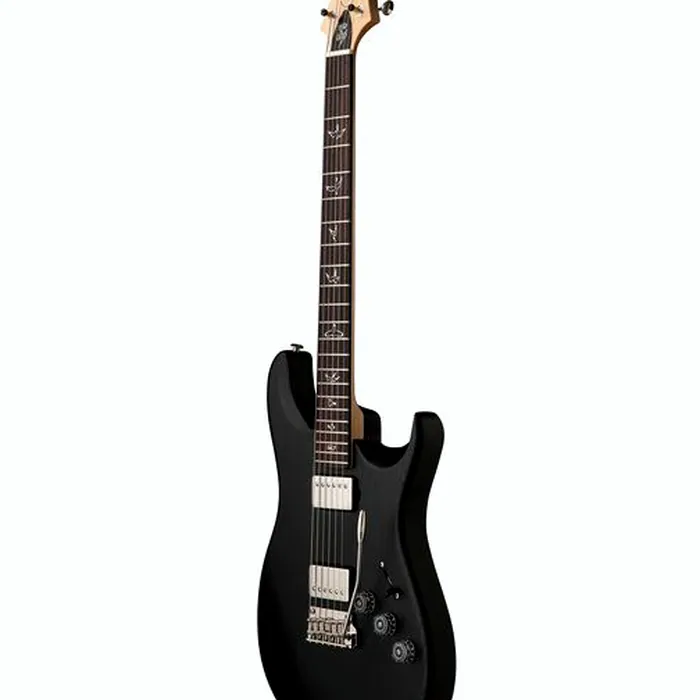 PRS Fiore HH Satin Black Hyacinth – photo 5