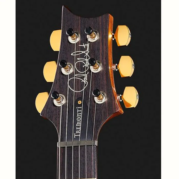 PRS Mark Tremonti CH 10 Top – photo 8