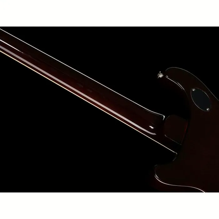 PRS McCarty 594 BGWB MCIII – photo 12