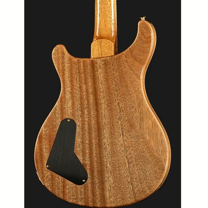 PRS McCarty FBJ MCIII 10 Top – photo 7