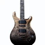 Avis guitare électrique PRS Modern Eagle V Private Stock F