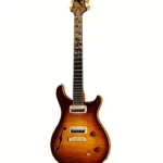 La guitare électrique PRS Pauls Guitar S/H Private Stock , Test, Avis, Comparatif