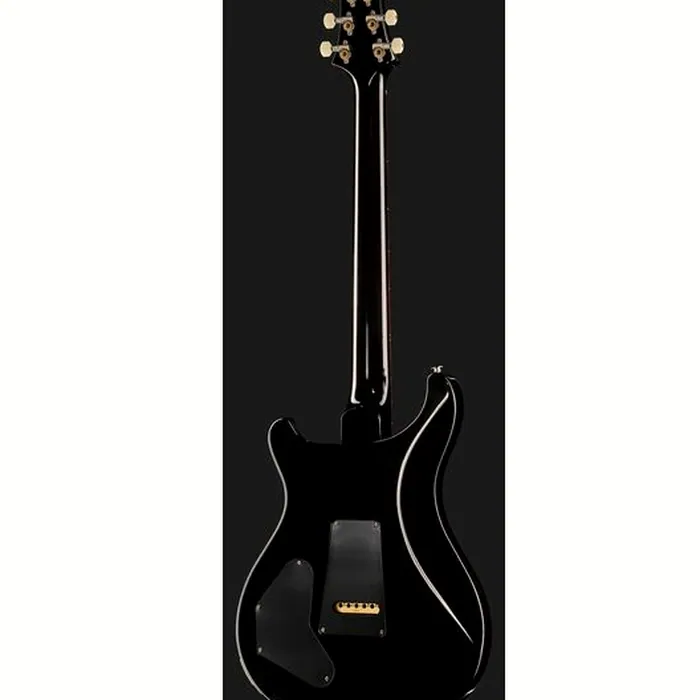 PRS PRS DGT Moons BW – photo 5