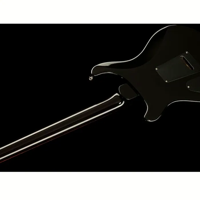 PRS PRS DGT Moons BW – photo 12