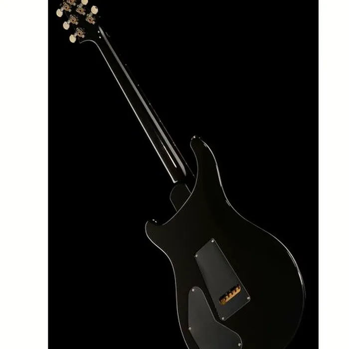 PRS PRS DGT Moons BW – photo 11